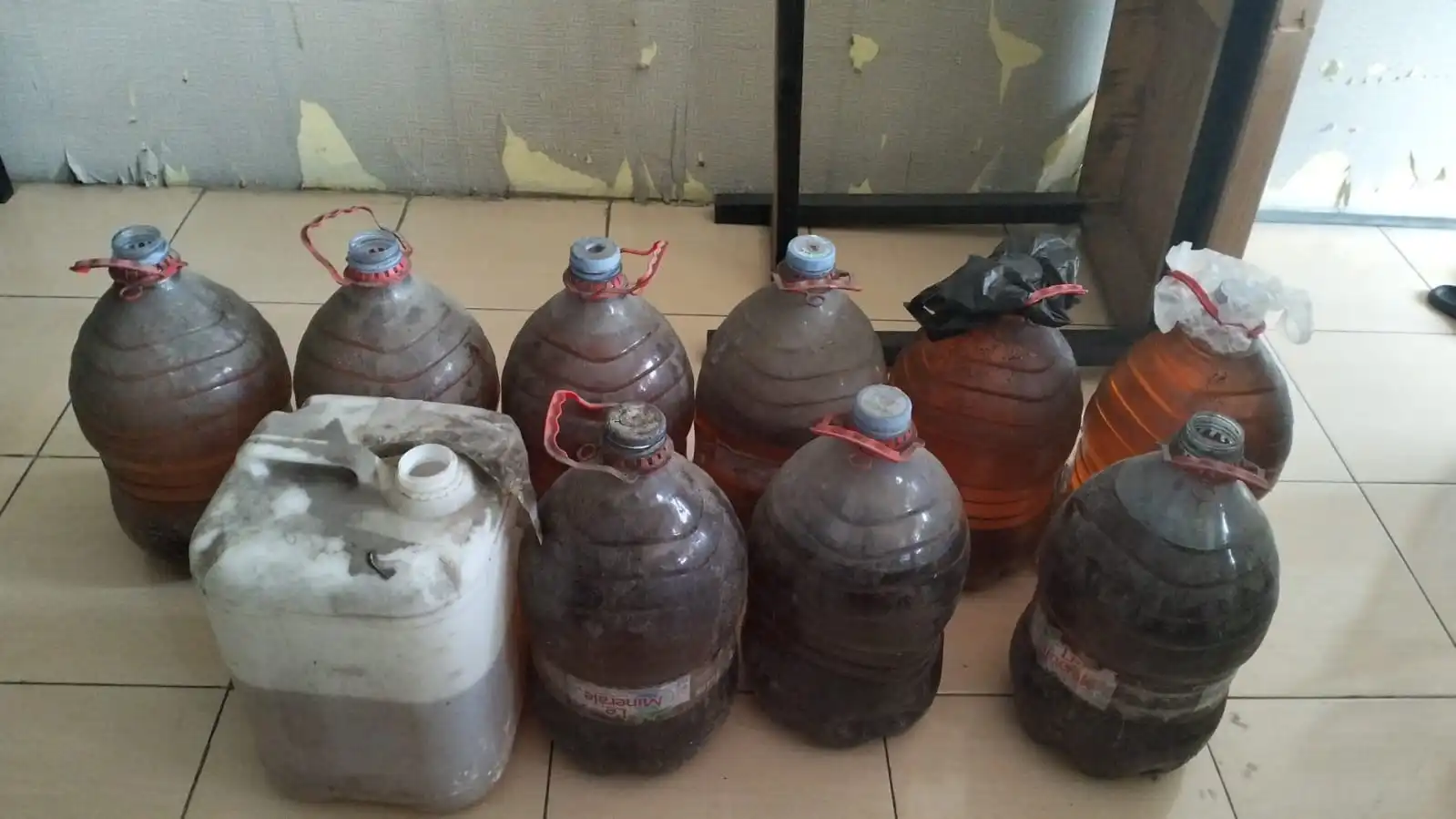 Cara Menyimpan Minyak Jelantah Agar Tidak Ditolak Saat Dijual
